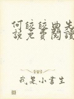 何皎皎曲先生小说免费阅读