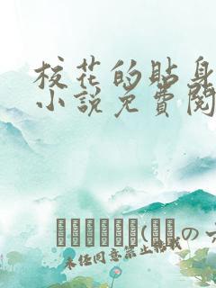 校花的贴身高手小说免费阅读txt下载