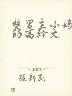 双男主小妈文学的高干文