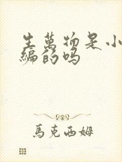 生万物是小说改编的吗