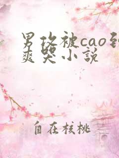 男攻被cao到爽哭小说