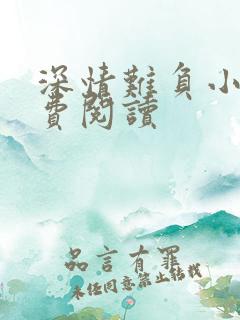 深情难负小说免费阅读