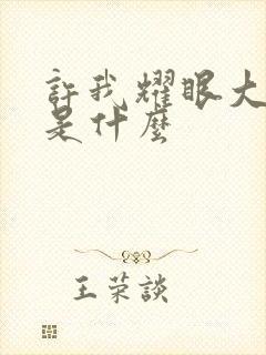 许我耀眼大结局是什么