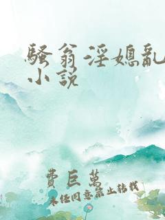 骚翁淫媳乱系列小说