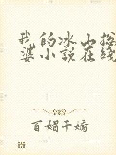 我的冰山总裁老婆小说在线阅读