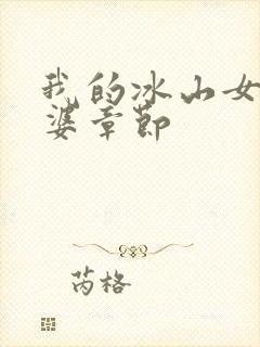 我的冰山女神老婆章节