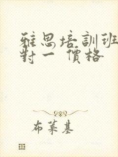 雅思培训班 一对一 价格