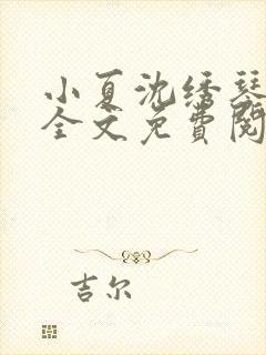 小夏沈绣琴小说全文免费阅读