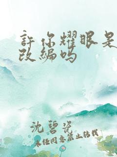 许你耀眼是小说改编吗