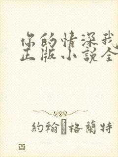 你的情深我不配正版小说全文免费阅读