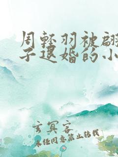 周轻羽被翩然仙子退婚的小说