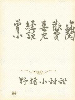 曾经喜欢你的我小说免费阅读