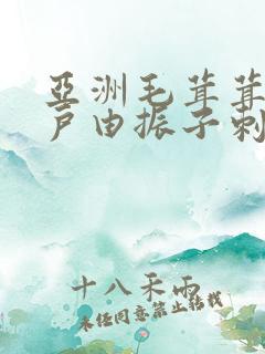 亚洲毛茸茸的阴户由振子刺激