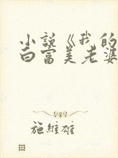 小说《我的总裁白富美老婆》