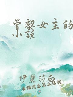 曾黎女主的华娱小说