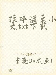 揉碎温柔小说全文txt下载