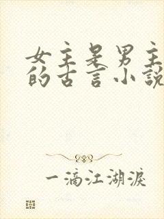 女主是男主嫂子的古言小说