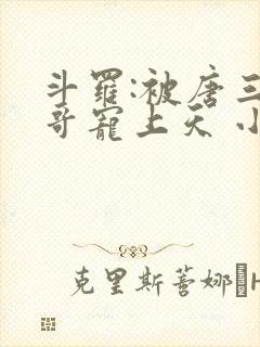 斗罗:被唐三哥哥宠上天 小说完整