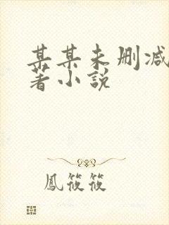 某某未删减版原著小说