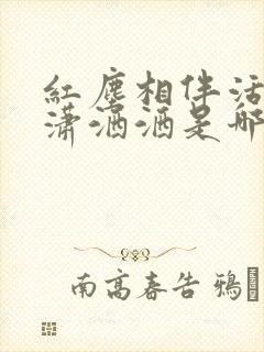 红尘相伴活的潇潇洒洒是哪一首歌