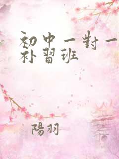 初中一对一辅导补习班