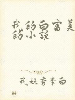 我的白富美老婆的小说
