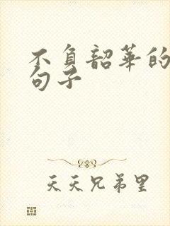 不负韶华的完整句子