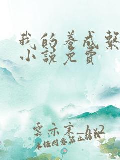 我的养成系女友小说免费