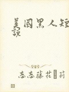 美国黑人短篇小说