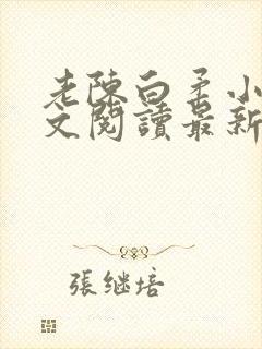 老陈白柔小说全文阅读最新章节内容