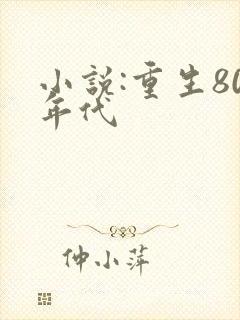 小说:重生80年代