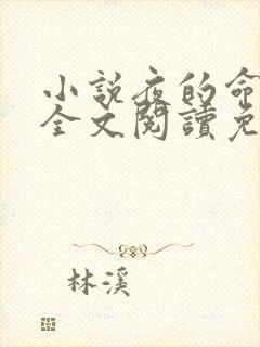 小说夜的命名术全文阅读免费