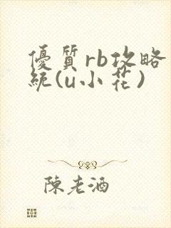 优质rb攻略系统(u小花)