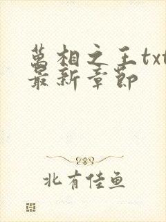 万相之王txt最新章节