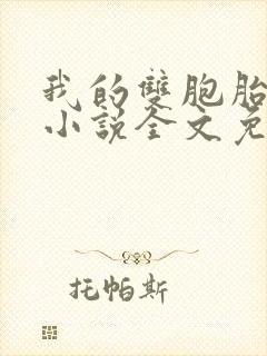 我的双胞胎老婆小说全文免费阅读