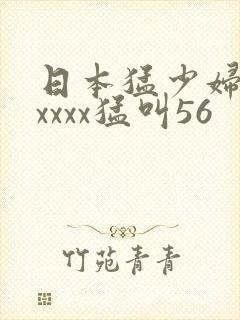日本猛少妇色xxxxx猛叫56