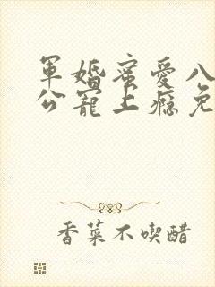 军婚蜜爱八零老公宠上瘾免费阅读