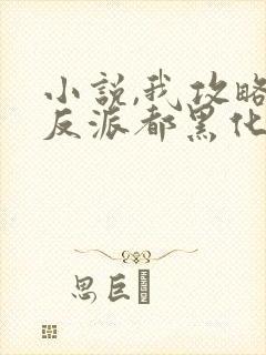 小说,我攻略的反派都黑化了