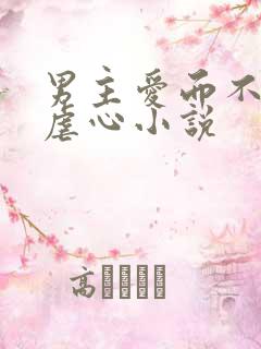 男主爱而不得的虐心小说