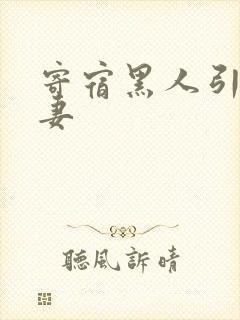 寄宿黑人引诱人妻
