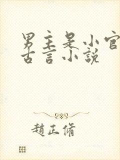 男主是小官吏的古言小说