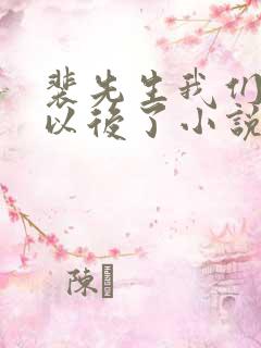 裴先生我们没有以后了小说