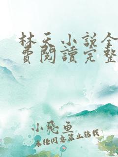 林天小说全文免费阅读完整版