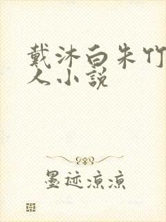 戴沐白朱竹清同人小说