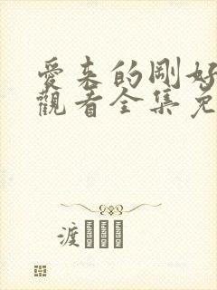 爱来的刚好在线观看全集免费播放