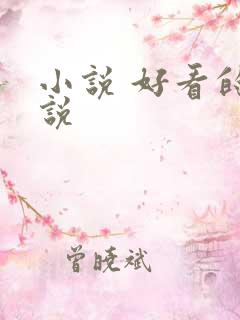 小说 好看的小说