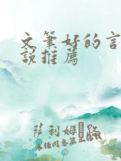 文笔好的言情小说推荐