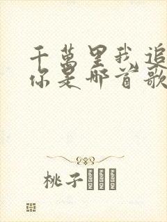 千万里我追寻着你是哪首歌的歌词