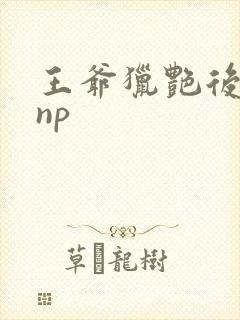 王爷猎艳后宫hnp