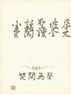 小说圣墟辰东免费阅读全文无窗口